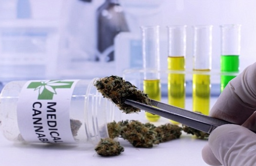 Cannabis derived medicinal products image