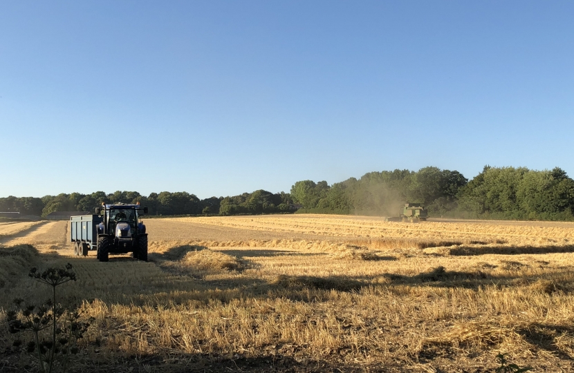 Harvest in the Itchen Valley