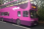 Purple bus moving